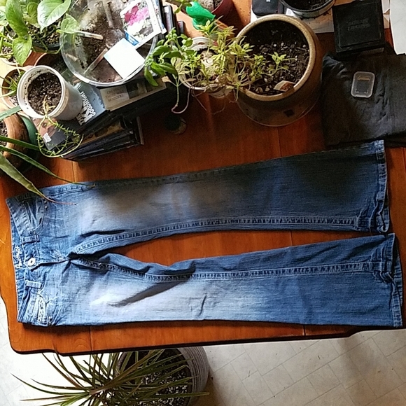 EUC Amethyst Jeans - Picture 6 of 6